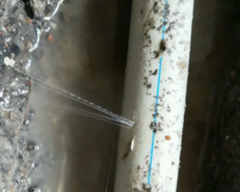 徐水区卫生间测漏水多少钱