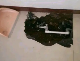 徐水区卫生间测漏水多少钱